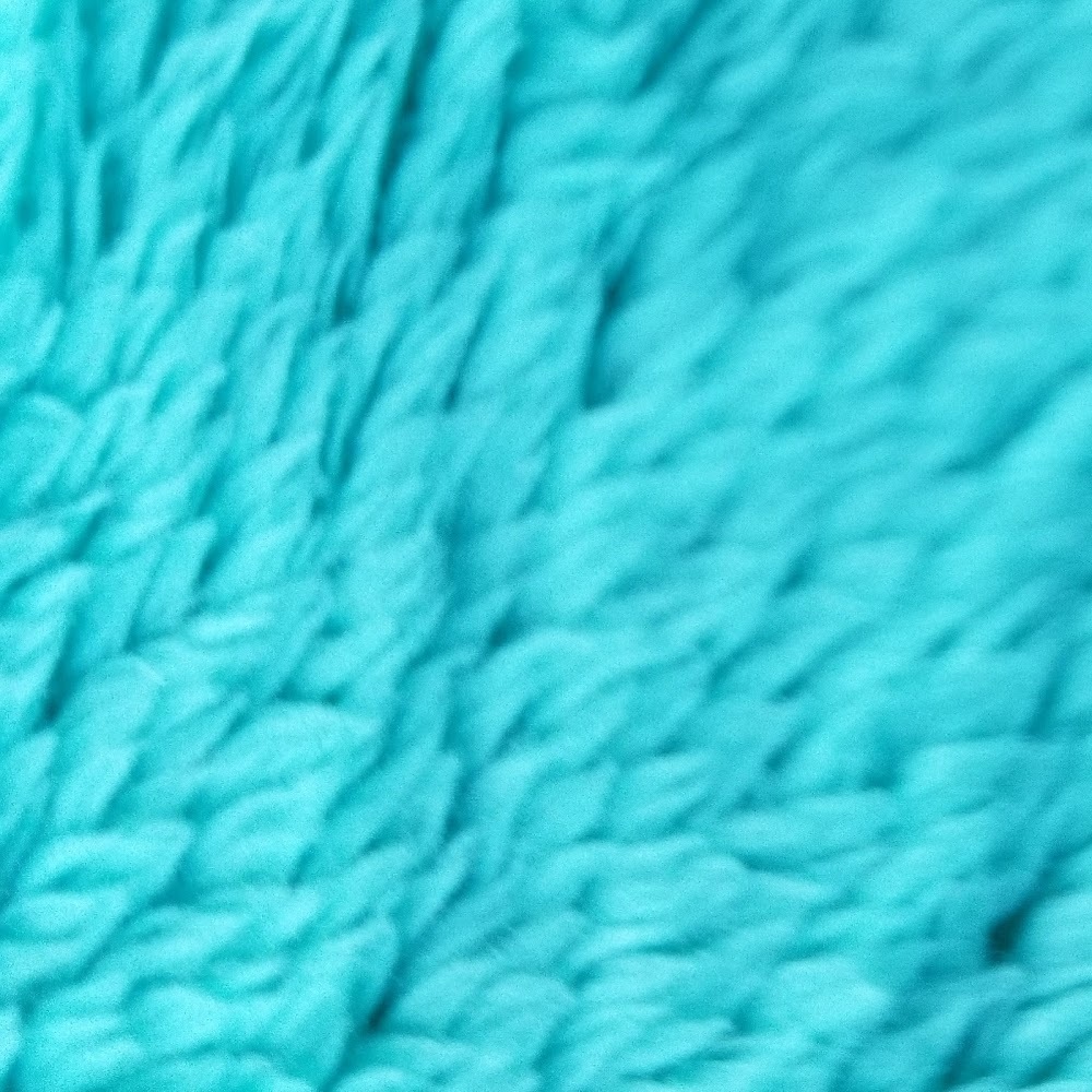 Meet your Posher, Alicia F.